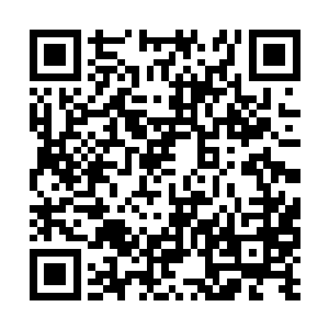 暗中跟来的大秦帝国的各大家族的强者们都焦急了二维码生成