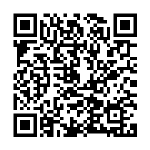 暗属性剑灵的神识顺着那个人尊期剑灵的神识冲进了他的识海二维码生成