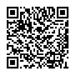 暗忖留手将伶塑造成复仇者的安排大概出问题了二维码生成