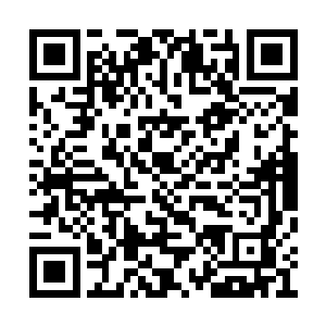 暗暗想着不知道今日能不能寻到机会让妹妹走脱二维码生成