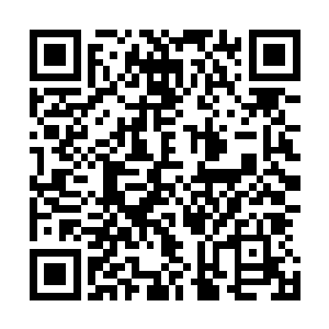 暗杀的原因则是老人家不想掺合某些别有用心人组织的行动二维码生成