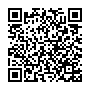 暗火是靠依附着魏家才在这短短半年里发展起来的二维码生成