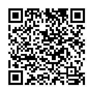 暗红血气和紫色血气全部萎靡不振地趴在心脏里无法动弹二维码生成
