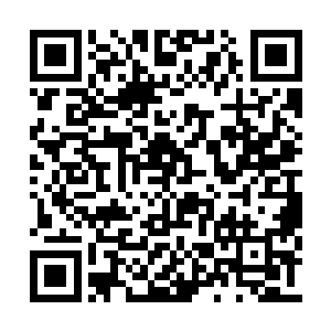 暗线很快就将为我安排的身份详细传音告诉了我二维码生成