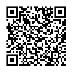 暗自训练了许久的水菲菲麻利地将孩子穿好小衣服后二维码生成