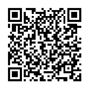暗道哥哥原来并没有忘记自己这个没有副手的寡将二维码生成