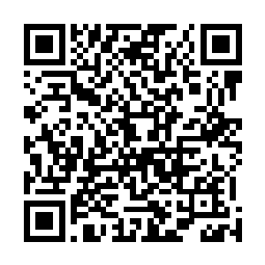 暗骂自己当时怎么没有想到要用那把琴来对付那七只豹子二维码生成