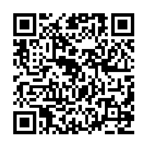 暴力跟还有那狗屁一般的快进键厌倦到深恶痛绝二维码生成