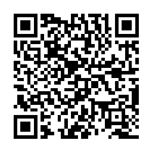 暴戾的冲锋迎向了那些自觉强大犹如海潮般扑来的绿林人二维码生成