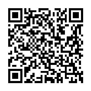 暴殁原本还固执的脾气在四梭的规劝下好了很多二维码生成