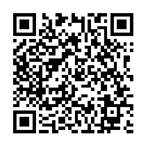 暴涨后的元神之力化为幻术力量降临在小水鬼王身上二维码生成