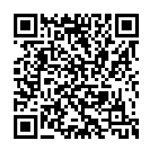 暴躁的血海之力将两个黑色漩涡往高空压了回去二维码生成