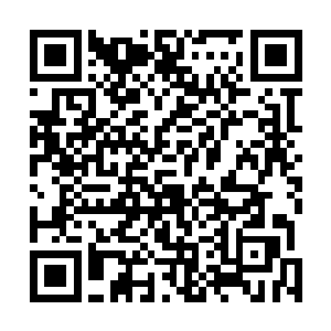 暴龙双斩乃是暴龙公子根据自己变异血脉领悟的圣域绝学二维码生成