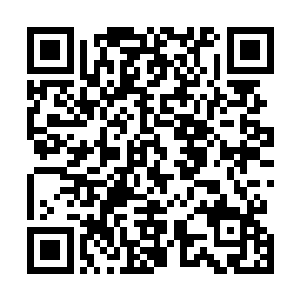 曦国二十万大军便会身穿绿色的衣服从河底隧道分批过来二维码生成