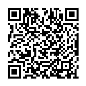 曲元良也不会对一个没有什么感情的表弟在意的二维码生成