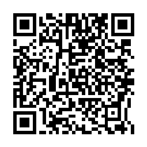 曲承泽眨巴着眼睛看向始终淡定的夜染和柳非笑二维码生成