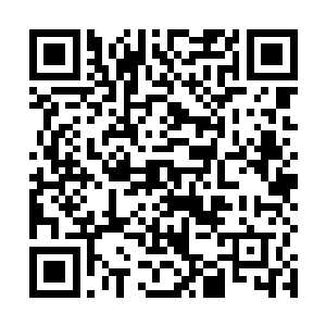 曲承泽第一个哇啦哇啦的对着夜染的通讯器大喊了起来二维码生成