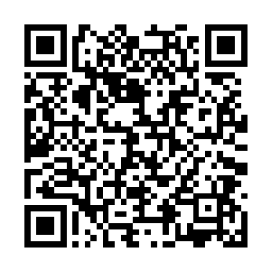曲曲折折的走廊可以把客人们碰头的几率降低不少二维码生成