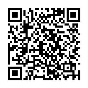 曲歌在经济稍微宽裕的时候就已经置办了一处婚房二维码生成