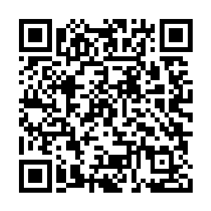 曲歌是不会在大庭广众之下和陈思远争吵不已的二维码生成