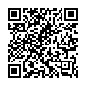 曲江就和一个穿着挺时髦的花格粗布衬衣的平头男下来了二维码生成