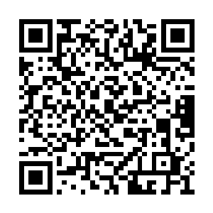 曲龙君坐在地上跟宁忌计算了一番今天的收益额二维码生成