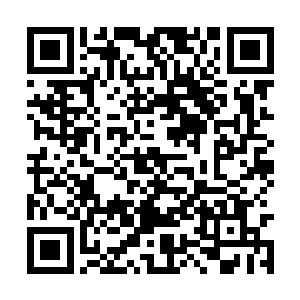 更不会对别国政治指手画脚……隐隐有所指的同时二维码生成