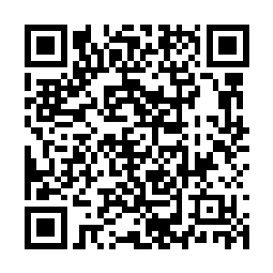 更不会想到把她千里迢迢从邺京请到这西北之地来二维码生成
