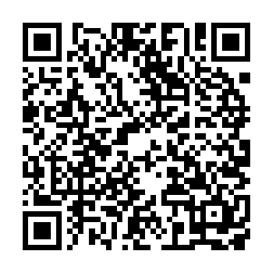 更不会追出藏书馆去解释什么――与神将府之间的婚约还没有撕毁二维码生成