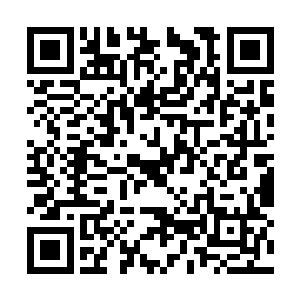 更不可能像赵虎这样对于魔血表现出如此大的兴趣二维码生成