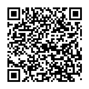 更不如说是借此逼的秦宇为了洗刷自己的清白而出手抓到那幕后凶手二维码生成