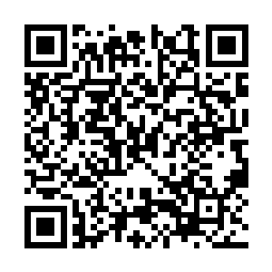 更不是从参悟他人相关的力量来演化出自己的力量二维码生成