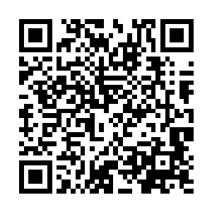 更不是后羿族或者夸父族那种虫群智慧和类植物形生命二维码生成