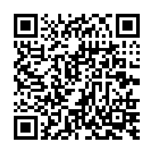 更不是知道了天道竟然没死这个难以置信的事情的众女二维码生成