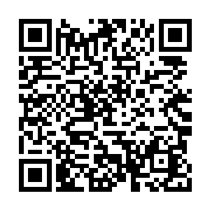 更不有说这五个域外天魔还想着在这里打开封印二维码生成