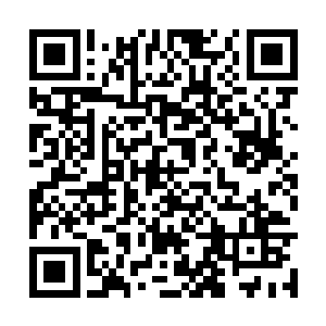 更不用说紫气还会把修炼的灵力压缩成十分之一呢二维码生成