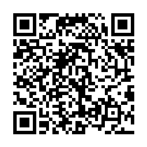 更不用说还有法比斯这个实力强大的对手在一旁虎视眈眈了二维码生成