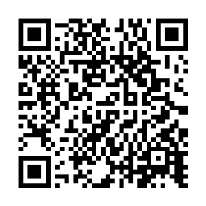 更不用说这凶煞之气孕育出来的各种各样的恐怖的凶兽了二维码生成