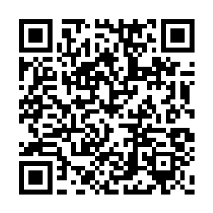 更不知道他是此次随行太医之中地位最高的一位二维码生成