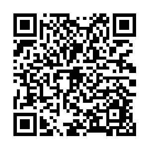 更不知道居然还有这么一个人每日和张承霸在院子里捉迷藏二维码生成