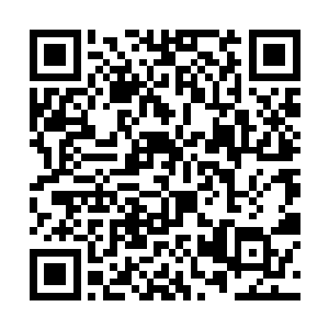 更不知道白雪绒为什么拉着他往集合地点相反方向跑二维码生成