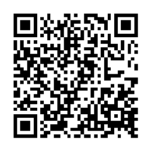 更不要傻乎乎的转身就――把后背毫无防备的露给它二维码生成