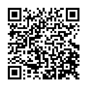 更不要说你刚才那把自己的血脉之力送到别人的血脉中了二维码生成