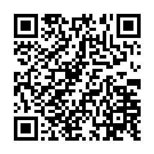 更不要说其中有五十万美元票房还是自己刷出来的二维码生成