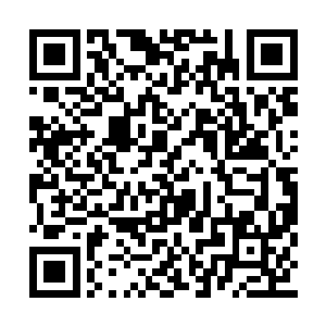 更不要说在此之前学院就欠了雨果至少两次提名二维码生成