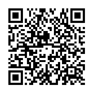 更不要说这块仙玉当中记载的东西有多么的惊人了二维码生成