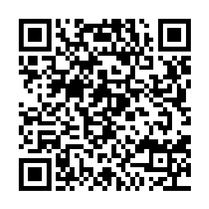 更不说她这一穷二白的身份很可能根本办不下中国签证了二维码生成