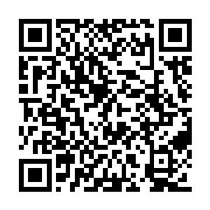 更为奇怪的是……就连那匹负责拉车的白泽圣马二维码生成