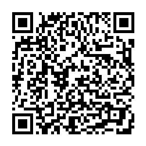 更为恐怖的是连那种号称以破坏力著称的炫极天火许德拉也是将他吸收掉了二维码生成