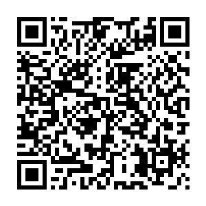 更为难得的是黄鑫林凭借他自己的专业表现在尚权智那边的印象也不错二维码生成